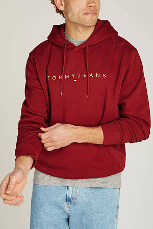 Толстовка мужская TOMMY JEANS TJM REG LINEAR GOLD HOOD EXT DM0DM20503 