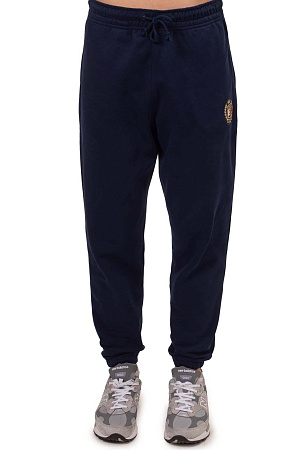 Брюки мужские TOMMY JEANS TJM REG CREST SWEATPANT DM0DM19805 