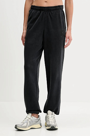 Брюки женские TOMMY JEANS TJW CREST SWEATPANT DW0DW21702 