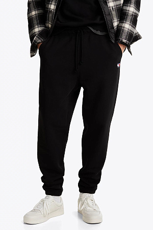 Брюки мужские TOMMY JEANS TJM REG BADGE SWEATPANT DM0DM20276 