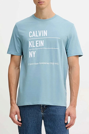 Футболка мужская SS 30S EU CALVIN KLEIN NY GRAPHI LV04RD818G