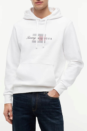 Толстовка мужская TOMMY HILFIGER SCRIPT FLAG HOODIE MW0MW43220 