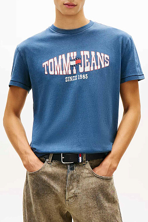 Футболка мужская TOMMY JEANS TJM REG LA WAVING FL DM0DM22520 