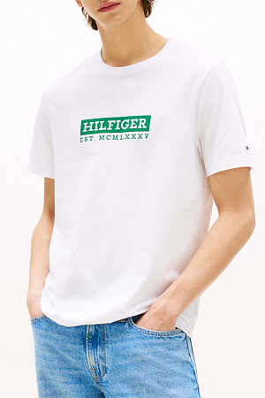 Футболка мужская TOMMY HILFIGER COLOUR TO COLOUR GRA MW0MW39149 