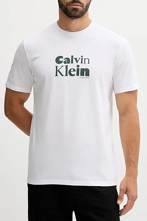 Футболка мужская SS 30S EU CALVIN KLEIN BOLD GRAP LV04RD820G
