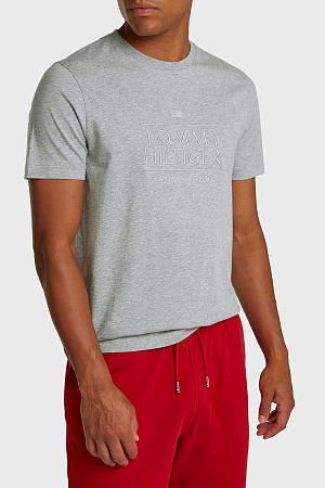 Футболка мужская TOMMY HILFIGER HILFIGER EMBROIDERY LOGO TEE MW0MW38620 
