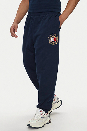 Брюки мужские TOMMY HILFIGER TJM RLX PREP EXPLORER SWEATPANT DM0DM19480 