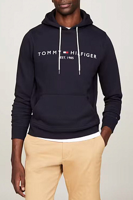 Logo hoody tommy hilfiger online