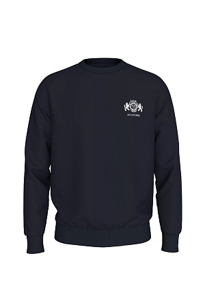 Толстовка мужская TOMMY HILFIGER SMALL CREST EMRBO SWEATSHIRT MW0MW35528 