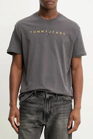 Футболка мужская TOMMY JEANS TJM REG LINEAR LOGO DM0DM20744 