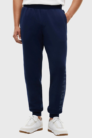Брюки мужские TOMMY HILFIGER PERFORMANCE GRAPHIC SWEATPANT MW0MW43445 