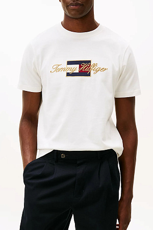 Футболка мужская TOMMY HILFIGER ICON GOLD TEE YBL MW0MW41500 