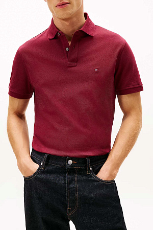 Футболка поло мужская TOMMY HILFIGER CORE 1985 REGULAR POLO MW0MW17770 