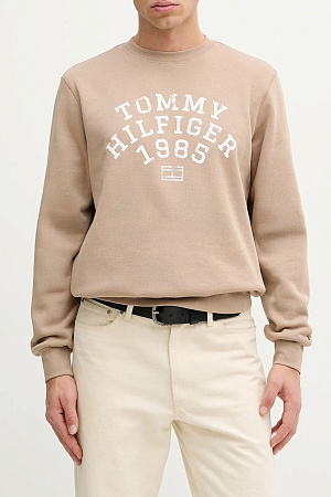 Толстовка мужская TOMMY HILFIGER HILFIGER ARCH SWEATSHIRT MW0MW41426 