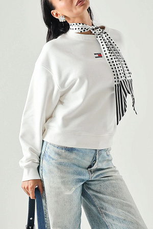 Джемпер женский TOMMY JEANS TJW BXY BADGE CREW EXT DW0DW17325 