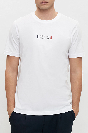 Футболка мужская TOMMY HILFIGER BRAND LOVE SMALL CENTER TEE MW0MW41453 