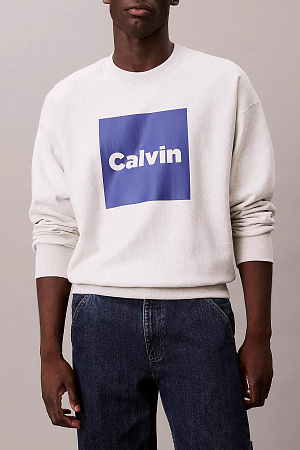 Толстовка мужская CALVIN KLEIN LS PREMIUM FLEECE CALVIN BOX GRA LV04RD216G 