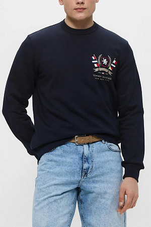 Толстовка мужская TOMMY HILFIGER HILFIGER COLOR CREST SWEATSHIRT MW0MW39253 