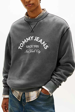 Толстовка мужская TOMMY JEANS TJM REG GMD APPLIQUE CREW DM0DM22369 