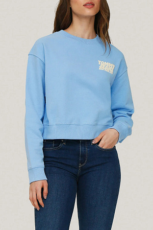Толстовка женская TOMMY JEANS TJW RLX CRP TJ BUBBL DW0DW21345 