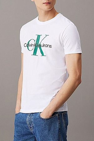 Футболка мужская CALVIN KLEIN SEASONAL MONOLOGO TEE J30J320806 