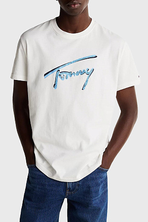 Футболка мужская TOMMY JEANS TJM REG RWB SIGNATURE TEE DM0DM21109 