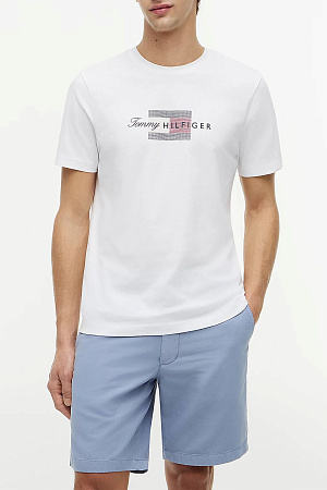 Футболка мужская TOMMY HILFIGER SCRIPT FLAG REGULAR TEE MW0MW43226 