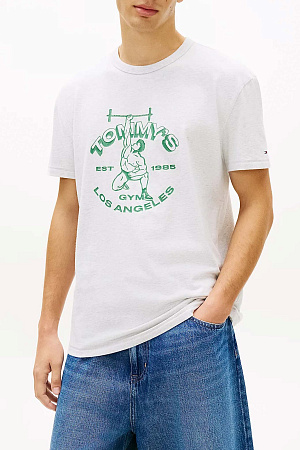 Футболка мужская TOMMY JEANS TJM REG LIFTER SS TE DM0DM22518 