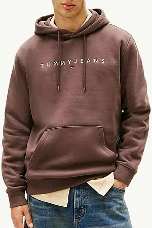 Толстовка мужская TOMMY JEANS TJM REG LINEAR LOGO HOODIE EXT DM0DM20746 