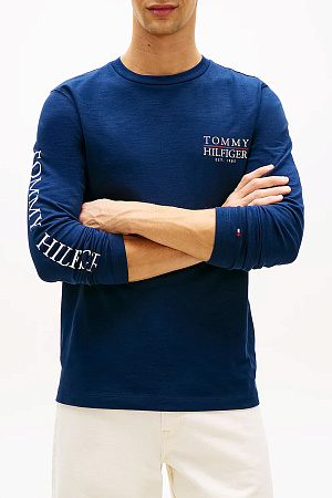 Футболка мужская TOMMY HILFIGER HERITAGE SERIES TEXT MW0MW43065 