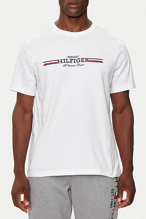 Футболка мужская TOMMY HILFIGER HILFIGER CHEST STRIPE TEE MW0MW36480 